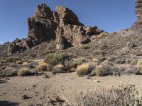 Spanish Desert Road: Exploring the Wilderness of Nature