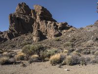 Spanish Desert Road: Exploring the Wilderness of Nature