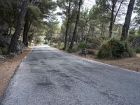 paved country road going past pine trees on hillside in southern europe - stock image, fotor, photograph, copy id