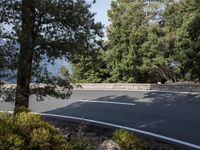 a side view of a long straight road, leading away from a bush next to a mountain