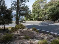 a side view of a long straight road, leading away from a bush next to a mountain