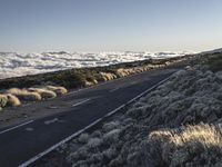 Spanish Mountain Road Landscape