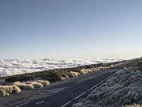 Spanish Mountain Road Landscape