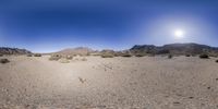 panoramic view of desert area with trees and mountains in background during daytime with sun, and lens pointed overhead