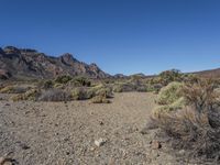 a view of a desert area with dry shrubs and mountains in the background with clear blue skies