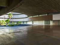 a concrete walkway in an empty building with plants growing from the walls and a long circular window that is opened out