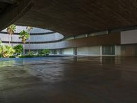 a concrete walkway in an empty building with plants growing from the walls and a long circular window that is opened out