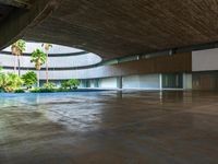 a concrete walkway in an empty building with plants growing from the walls and a long circular window that is opened out