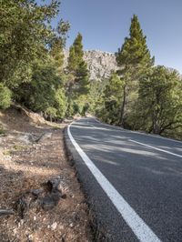 the road has white lines on it in the mountainside area of pine forest and mountains