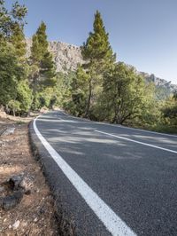 the road has white lines on it in the mountainside area of pine forest and mountains