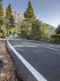 the road has white lines on it in the mountainside area of pine forest and mountains