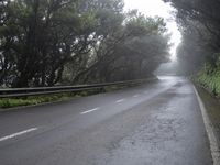 Spanish Road Landscape under a Gray Sky