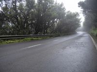 Spanish Road Landscape under a Gray Sky