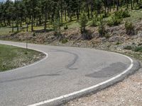 Spanish Road: Mountain and Forest in Europe's Pyrenees