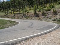 Spanish Road: Mountain and Forest in Europe's Pyrenees