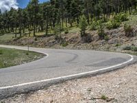 Spanish Road: Mountain and Forest in Europe's Pyrenees