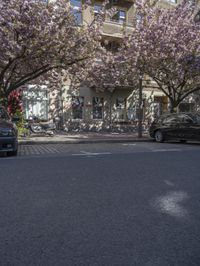 Spring Day in Berlin, Germany