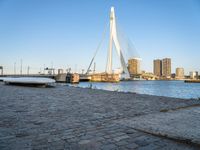 there is a stone bench that has been placed by the water in front of it