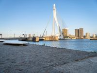 there is a stone bench that has been placed by the water in front of it