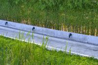 a stone drainage and a wall with three black pipeholes surrounded by green vegetation on the side of the road