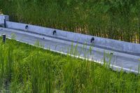 a stone drainage and a wall with three black pipeholes surrounded by green vegetation on the side of the road