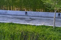 a stone drainage and a wall with three black pipeholes surrounded by green vegetation on the side of the road