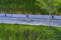 a stone drainage and a wall with three black pipeholes surrounded by green vegetation on the side of the road