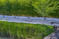 a stone drainage and a wall with three black pipeholes surrounded by green vegetation on the side of the road