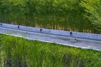 a stone drainage and a wall with three black pipeholes surrounded by green vegetation on the side of the road