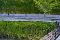 a stone drainage and a wall with three black pipeholes surrounded by green vegetation on the side of the road