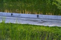 a stone drainage and a wall with three black pipeholes surrounded by green vegetation on the side of the road