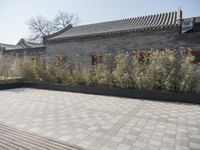 stone and stone patio area with plants growing outside and large grey planter boxes on top