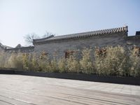 stone and stone patio area with plants growing outside and large grey planter boxes on top