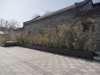 stone and stone patio area with plants growing outside and large grey planter boxes on top
