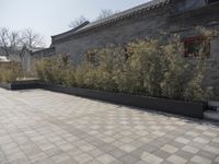 stone and stone patio area with plants growing outside and large grey planter boxes on top