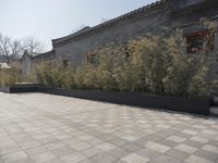 stone and stone patio area with plants growing outside and large grey planter boxes on top
