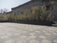 stone and stone patio area with plants growing outside and large grey planter boxes on top
