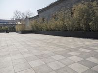 stone and stone patio area with plants growing outside and large grey planter boxes on top