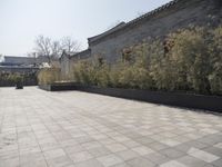 stone and stone patio area with plants growing outside and large grey planter boxes on top