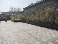 stone and stone patio area with plants growing outside and large grey planter boxes on top