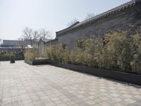 stone and stone patio area with plants growing outside and large grey planter boxes on top