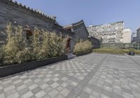 stone and stone patio area with plants growing outside and large grey planter boxes on top