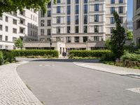 there is a stone walkway that is lined up with green plants and bushes, and a modern white building in the background