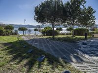 a stone walkway with several trees on either side of a lake in the background and in the foreground