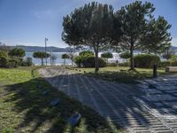 a stone walkway with several trees on either side of a lake in the background and in the foreground