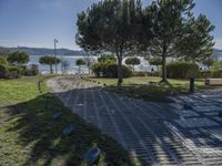 a stone walkway with several trees on either side of a lake in the background and in the foreground