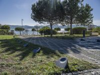 a stone walkway with several trees on either side of a lake in the background and in the foreground