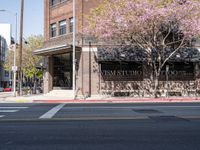 Storefronts and Urban Architecture in Los Angeles
