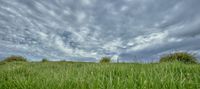 a green field with green grass and clouds in the background that appear to be just under some very large clouds