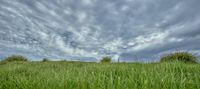 a photo of some cloudy skies over the grass and bushes on a hill near a grassy plain